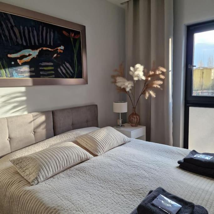 Stary Toruń Apartament Nad Struga, Klimatyzacja, Parking,Taras מראה חיצוני תמונה